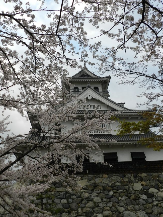 長浜豊公園 長浜城 の桜は満開でした 遅めの桜を求めて滋賀県北部へ その３ 長浜 滋賀県 の旅行記 ブログ By Joecoolさん フォートラベル