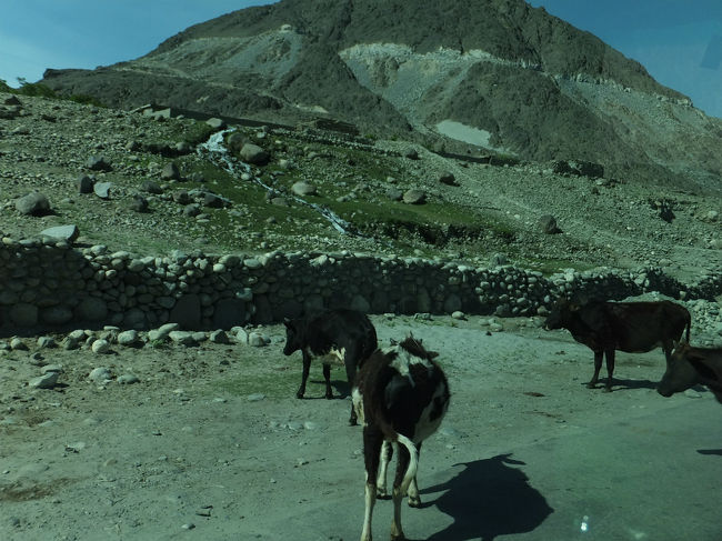 牛に見送られて南下を再開。<br /><br />順調だったのだが、ここのチェックポストで足止め。<br />どうやら、先導する警察官がここで交代するのだが、担当者がまだ来ておらず出発のGOサインが出ない。<br />