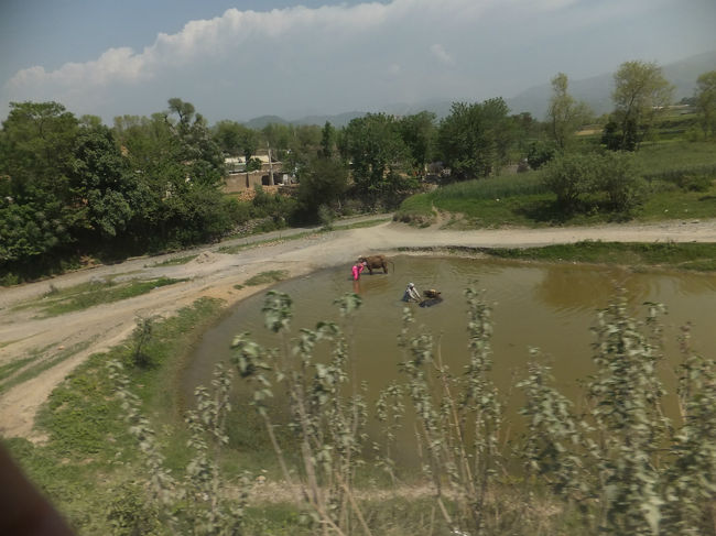 平野部には、高地で見なかった水田風景もチラホラと。