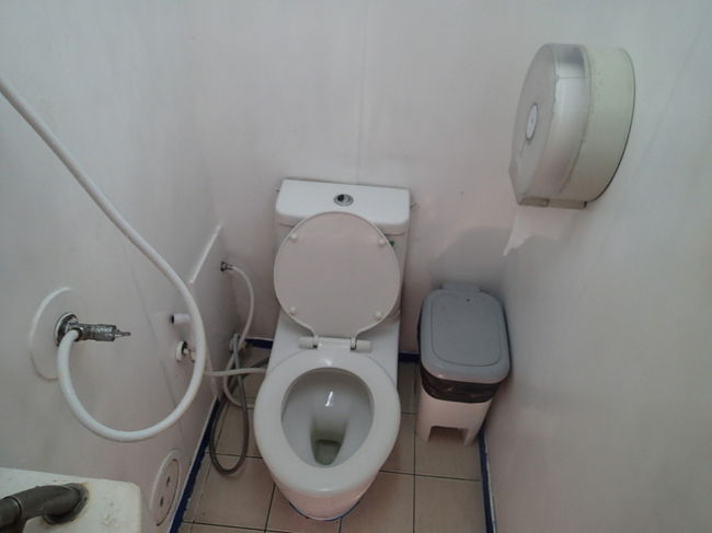 トイレットペーパーもありますが、トイレに流してはいけません。<br />横のゴミ箱へ