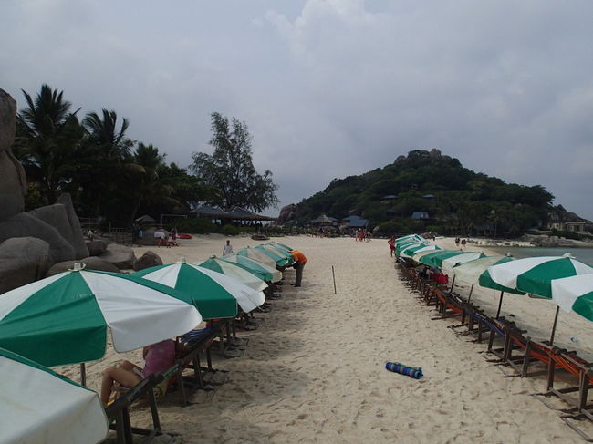 係の方が集金にやってきます