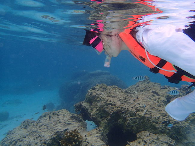 透明度はいいですね