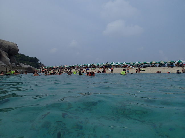 だんだんと人が増えてきました。<br />魚は、アントンよりも色々いますが、浅い珊瑚礁ですので、大物はいませんね。