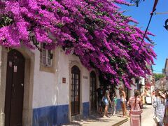 ■オビドスÓbidos　（3時間）
13：00〜16：00
「城壁に囲まれた美しい村」花の季節に行ってみた。

ちょうど中世の祭りをしていて、屋台が出て賑やかだった。町中色とりどりの花にあふれていて良い時期でした。お花がない時期に行くと寂しい村かも。