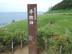 　途中、塩田があるという曽々木海岸を通過して約1時間後に到着した白米千枚田
　曽々木海岸の塩田は歴史があるそうですが、バスから見えた塩田は、100坪にも満たない小規模なものです。輪島の朝市で曽々木海岸のものだというメチャ高の塩を売っていましたが、それですら賄えるのか疑わしく感じられました。
　千枚田の方も、海とのコントラストは綺麗ですが、オーナー制度で頒布する米の量、此処の米で作ったと称する直売所のおにぎりの販売量などを考えると、此処も商売先行の気がして、石川県の売りものは全ていかさま臭く感じるようになりました。