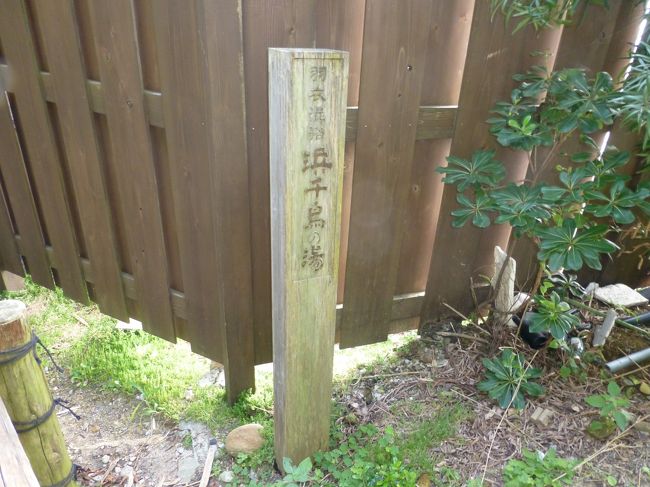 混浴露天風呂を見学してきました