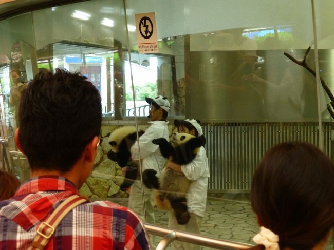 桜浜と桃浜を見るために、ブリーディングセンターへ