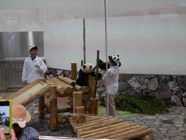 係りのお兄さんお姉さんと遊びます。