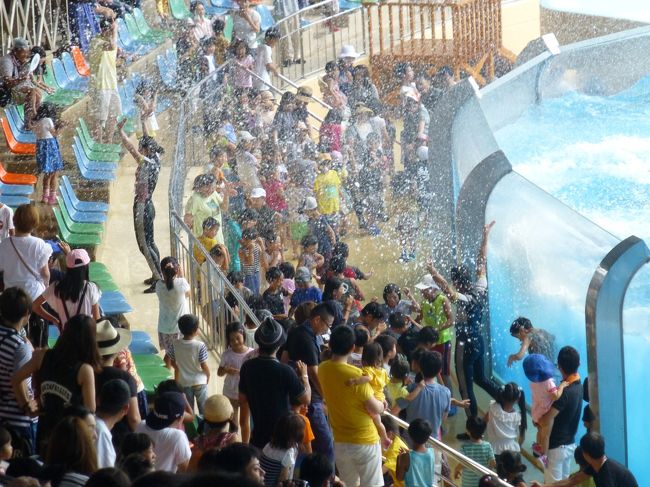 ずぶぬれタイム