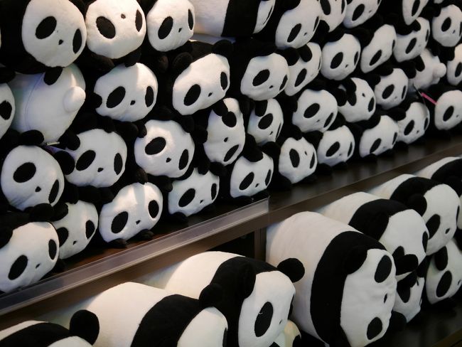 パンダさんいっぱい