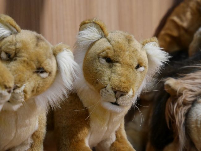 お土産を買って、和歌山をあとにしました。