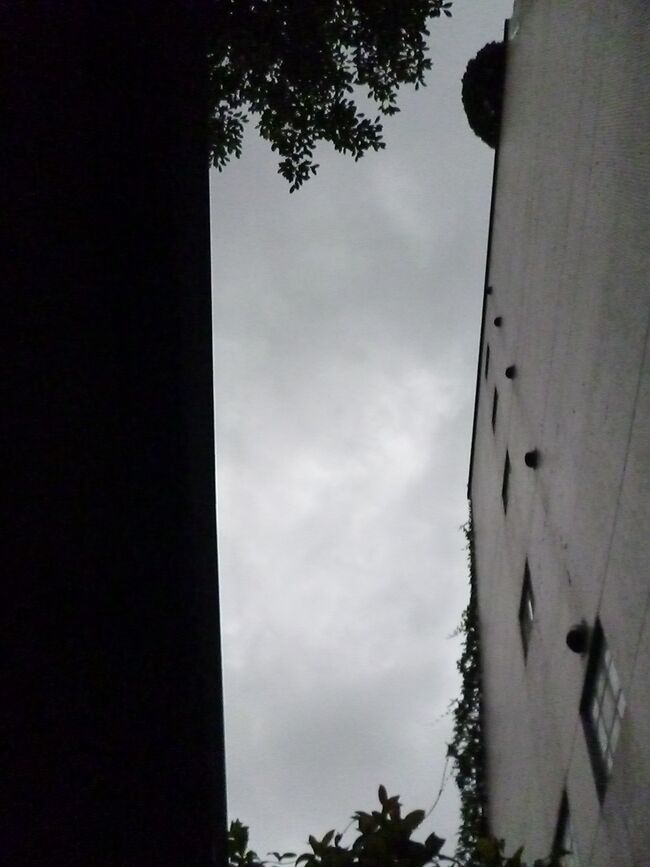 今はこんな感じの雲。