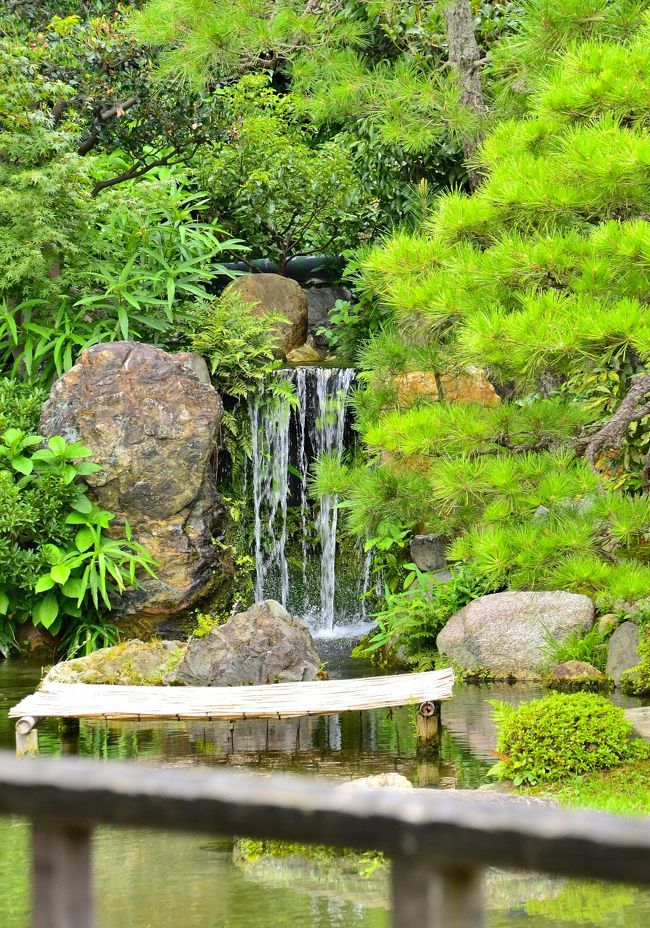 臨池亭・滴翠軒 滴翠<br />真夏でも涼しさを呼ぶ、防火用水本願寺水道「池に落ちる小滝（滴翠）」です。<br />この小池には特別な名称はないのですが、園池と通称されています。琵琶湖疏水からの水はこの園池に注がれ、鑓水（やりみず＝小川）を流れ下って庭園内にある印月池へと注がれます。