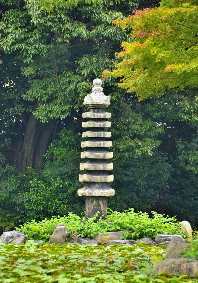 源融ゆかりの塔<br />印月池は、平安時代の初期に左大臣源融（みなもとのとおる）が造った別荘「六条河原苑」の遺構とも言われています。源融は、嵯峨天皇の皇子で源氏物語の主人公光源氏のモデルとされる人物です。源融は左大臣でしたが、源の姓を賜って臣籍に下っています。そんな訳で南大島の東側の小島「鶴島」に建つ九重の石塔は、源融の供養塔と伝えられています。<br />『都名所図会』には、「旧此所は河原院の旧蹟にして、池辺の出島に九重塔あり、是則融大臣の古墳なり」と記され、搭の制作年代は鎌倉時代中期と推定され、渉成園築造以前からこの辺りにあったと考えられています。築庭に当たり、宇治の塔の島の景色を写したとも言われています。塔の基礎に当たる格狭間には蓮華の彫刻が見られ、その上部の塔身には四方仏が彫られています。最上部の相輪は失われ、宝筺院塔の笠と宝珠で代用しているそうです。