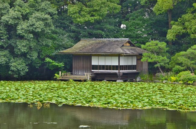漱枕居<br />様々なロケーションから、それぞれ違った雰囲気で眺められるのもひとつの魅力です。<br />