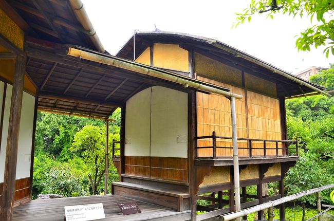 縮遠亭<br />印月池に 浮かぶ北大島に建てられた茶室で、１８８４（明治１７）年頃に再建されたものです。西側入口の土間から入ると茶室（抹茶席）があり、四畳間が付く構成となっています。その南端から斜めに続く板間を経て、３畳敷きの上段の間が連結されており、上段は床を高く支えた舞台造りになっています。<br />縮遠亭は、その名の通り、かつては上段の間から東山３６峰のひとつである「阿弥陀が峰」の遠景が縮図のように見渡せたと伝えられています。現在では樹木が生い茂り、また周囲にマンションが建てられたため、見ることは叶いません。