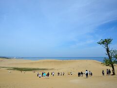 〔 鳥取砂丘 〕

おお〜〜〜、一面の砂丘とその先に蒼く広がる日本海♪
東西約16キロ、南北約2.4キロのわたり広がるという「鳥取砂丘」は、10万年の歳月をかけて創りだされた自然の造形です。

最初、ただの大きな“スナバ”かと思ってましたが、すぐそばに広がる日本海と相まってかなりの絶景ですね〜〜。