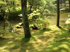 東から西へとタクシーで移動。駐車場のこと考えるとタクシーの方が良いなと判断。
西芳寺（苔寺）予約しておいて参拝します。
お経をあげて願掛けしてから庭園散策。
10年前よりコケの勢いが若干内容に感じたのですが季節によるのかも知れませんね。夏も緑で涼しく感じていいのですが、秋も紅葉とのコントラストで素敵です。
