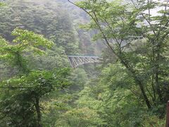 山道を登り切り再び林道へ。川を上ると橋が見えてきました。散策コースの折り返し地点、飛龍橋です。