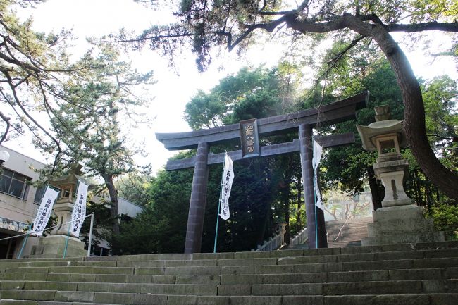 次に市電で終点の谷地頭電停まで移動し、函館八幡宮を参拝しました。<br /><br />電停から函館山の方へ坂を上って行くと、函館八幡宮の大鳥居が見えて来ます。