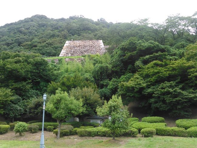 鳥取城の石垣が見えます。後で登ります。