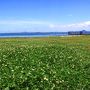 滋賀　大津　紫式部ゆかりの石山寺へ　びわ湖を眺めて過ごしました～