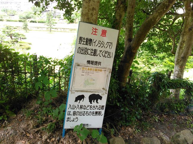 イノシシやクマが出るらしい。鳥取市中心部なんですけどね(^_^;)