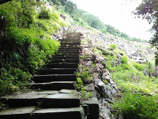 今日は見上げるだけです。