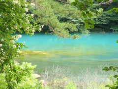 ブルーと苔のグリーンが混じり合う沼、青沼へ到着！
私は朝にも見ましたが、やはり美しい沼です^^
初めて訪れた夫や娘も綺麗な色に感動したよう。


