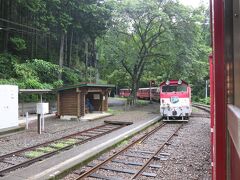 川根小山駅で逆方向の列車とすれ違うために停車。
森の中を走る小さな列車。絵になる風景です。