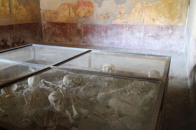 ここの住人だった人達のものか、骸骨が置かれていた。