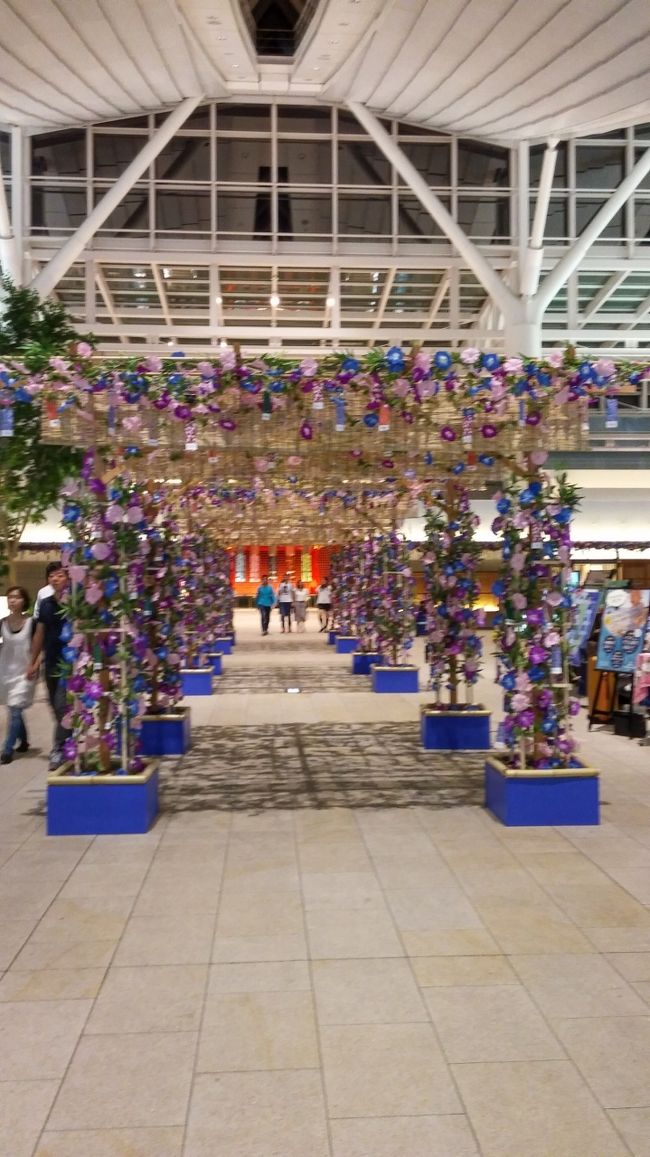 荷物を置いたら空港散策へGO！