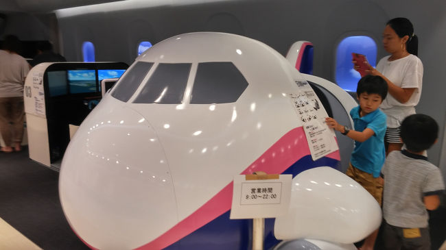 操縦シミュレーションゲームに挑戦