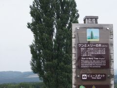 まずは定番の「ケンとメリーの木」40年以上も経ったのだから木も大きくなったんでしょうね。1本の木ですが、２つに別れて見えます。
ケンとメリーだから2本寄り添っているのでは？と、どこかの観光客が言ってます。
