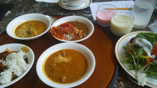 金沢からバスで名古屋へ。<br />サンダーバードも白鷺も乗り心地が嫌いなので、名古屋へはバスが一番好きです。途中の南条サービスエリアは色々置いてて楽しいし、乗り物酔いしないお陰で４時間本読んでればあっという間です。<br />今回の旅のお伴は、湊かなえの「母性」と、エスパー魔美✨<br />ついてすぐにホテルに荷物を置いて、ヒルトン名古屋のカレーブッフェへ。<br />去年泊まったときに見て、ちょっと気になっていたのです。<br />料理長達が競いあって作ったカレーに人気投票するって言う、なんか楽しげな夏のイベントです。<br />最近、カレーがおいしくなってきた(^o^)<br />…と思ってたのですが、自分が辛いもの苦手なこと忘れてました。<br />まともに食べれたカレーは２種類だけで、しかもしっかり体調崩しました。<br />しかもカレーとサラダと少しのデザート以外、何にもなくて残念でした。<br />去年とかのクチコミ見てると、ナンや揚げ物なんかもあったみたいなのですが。<br />カレー好きな人には、きっと楽しい企画なのだと思います。<br />私はもう行かない…というか行けない。辛いものはやっぱりダメでした。<br />