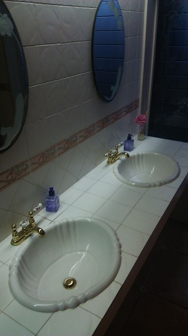 お手洗い、こんなにかわいい‼<br />壁紙も花柄で、ここの雰囲気すごく好きでした。