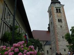 ブレッド島の階段を上りきると、お土産屋さんや飲食店がある通路。

その奥に聖母被昇天教会と塔がデ〜ン！

この教会の創建は８〜９世紀頃で、今見る姿になったのは１７世紀。
ブレッド島と共にブレッド湖に影を落とす様子は、今でもスロベニアを代表する風景のひとつになっています。

この教会を有名にしているものは何かと言うと、鳴らした者の願いをかなえると鐘。

あ、じゃあ、あの塔が鐘楼になっていて、上って行った先で鐘を鳴らせるんだろうな、と近づいて行くと、入場料が６ユーロ。(；＾ω＾)

ま、それで願いがかなうなら、とまずは教会の方にご入場。
そこで驚いたのは…、
