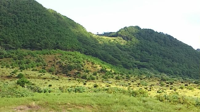 ホントのホントの目的は　あの上