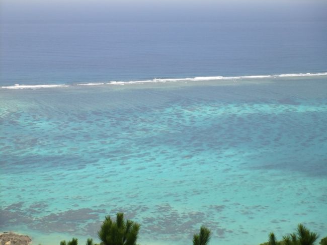 マリンブルーのサンゴを上空から見たいのに〜
