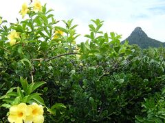 野底岳（ぬすくマーペー）
　ポツンと尖った標高２８２ｍの山
　頂上から３６０度の景色は抜群だとか！
　次回登って見よぉ〜