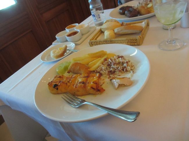 ピンタード（淡水魚）メイン