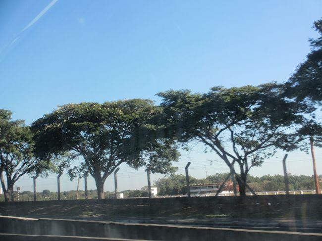 高速道路脇に競馬場を発見！