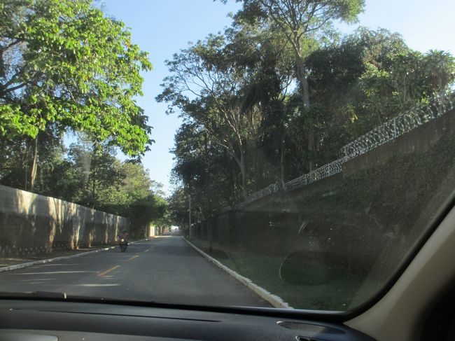 インダイアトゥーバにはポロ競技場が在って<br />　但し、英国王室専用なので誰も中に入れない<br />　　チャールズ皇太子やウィリアム王子がプレーする<br /><br />英国王室スケジュールにも公開されない極秘競技場で<br />　右側の塀の中が全部で、ちょうど半分走った辺りで撮影<br />　　こんな広大な土地が実はブラジルではなく英国なのだ