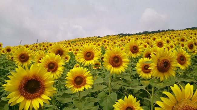 市 天気 喜多方