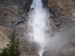 本日最終の目的地はタカカウの滝。レイクルイーズを越えてアルバータ州からブリティッシュ・コロンビア州に入る。
滝の落差は380mともいわれ、カナダでも5本の指に入る規模だという。手前まで車で行けるとはいえ、山をかなり分け入った場所にあり、秘境の滝とも言えよう。
