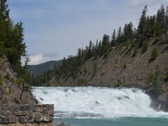 ボウ滝に到着。マリリン・モンロー主演映画「帰らざる河」の舞台となったことでも有名らしい。
その名前のとおり、この滝のあるボウ川の源流は、昨日訪れたボウ湖、そしてボウ氷河。はるばるここまで流れてきているかと思うと感慨深い。これにて、ボウ氷河・ボウ湖・ボウ峠（ペイトー湖のところ）・ボウ滝・ボウ川のボウ5兄弟を全制覇。