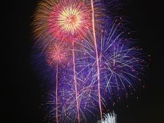 花火にも流行があるようで、今年の花火は青や紫色を使った色合いが多いように感じられた。

実は古河の花火大会には昨年も来ていたのだが、昨年は連続花火の撮影が上手くできなかったので、今年は花火を楽しみつつも、連続して打ち上げられる花火をいかに表情豊かに撮れるか…に挑戦しながらの花火見物。
