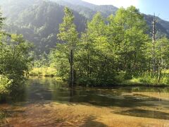 田代池

緑の木々がきれいです。