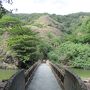 【離島】小笠原旅行②