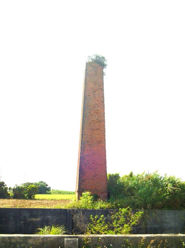 さっきの海に感動を覚えつつ、<br />名残惜しいけどドライブ再開です(°▽°)<br /><br /><br />見たかったガジュマルの煙突。<br />